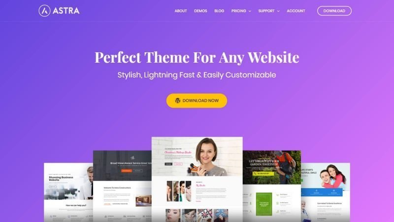 Astra Theme